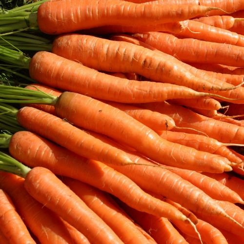 Carrot alternate view